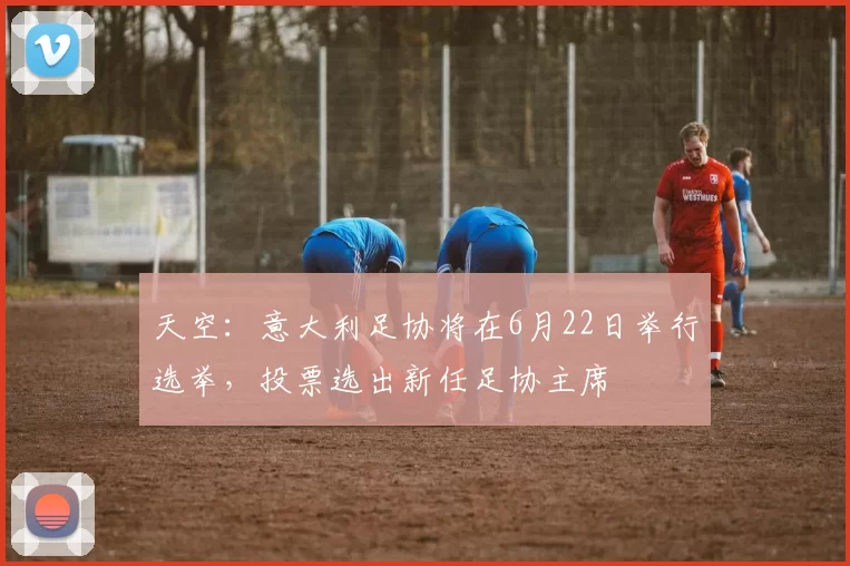 天空：意大利足协将在6月22日举行选举，投票选出新任足协主席