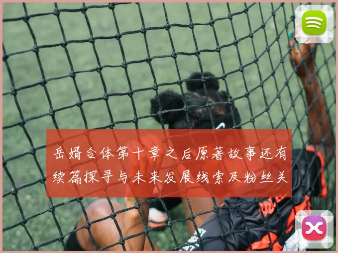 岳婿合体第十章之后原著故事还有续篇探寻与未来发展线索及粉丝关注